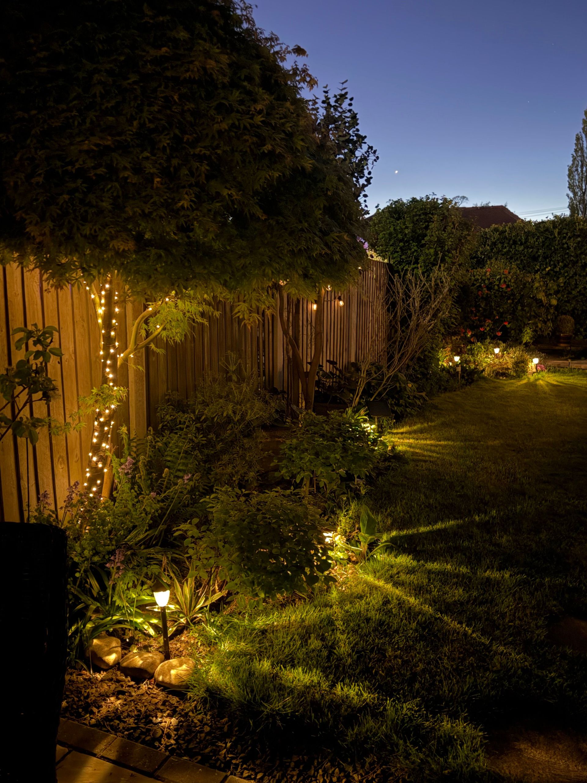 Serene garden at twilight with glowing fairy lights and lush greenery. Perfect for relaxation.