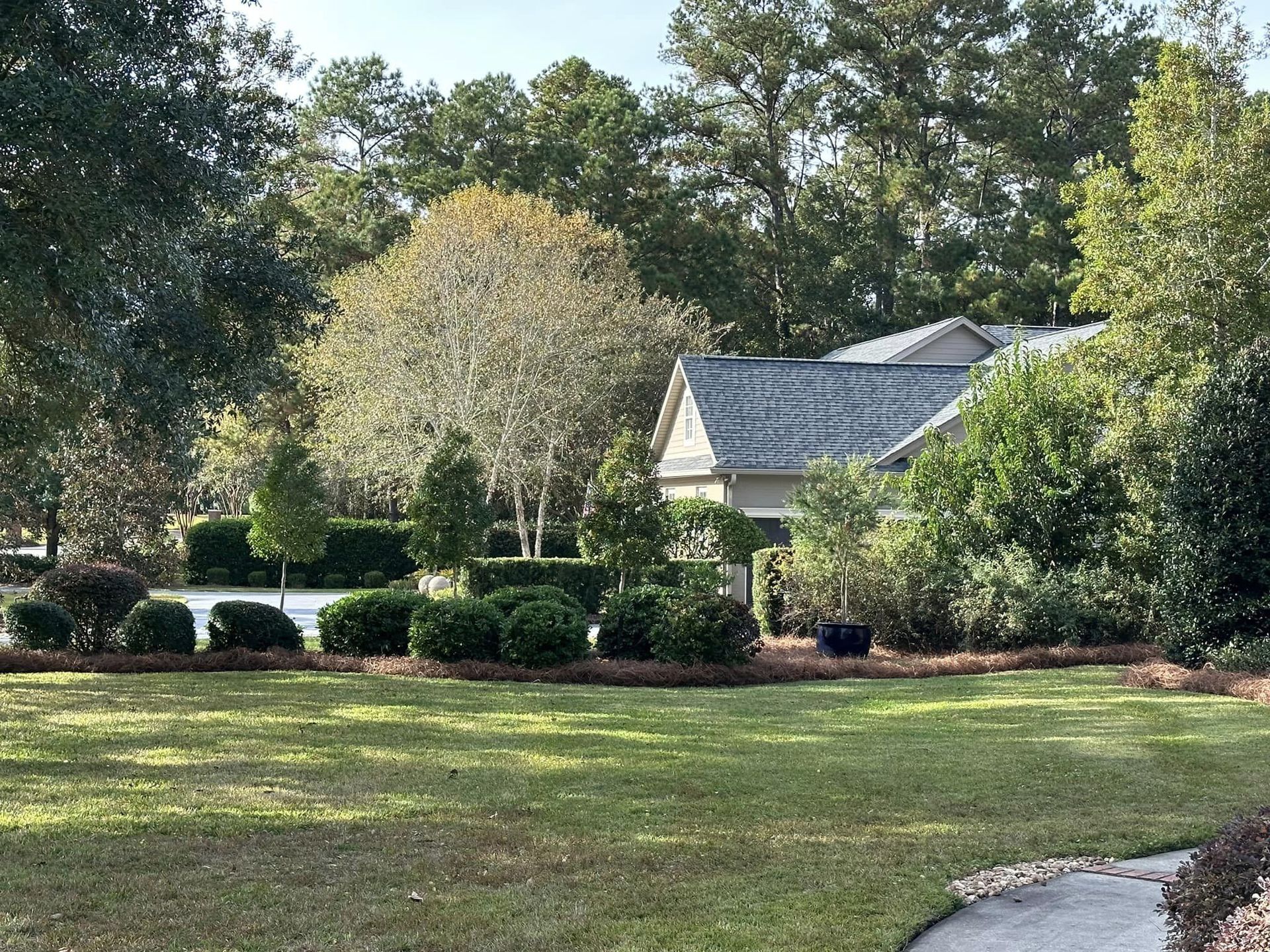svc1 landscaping (2)