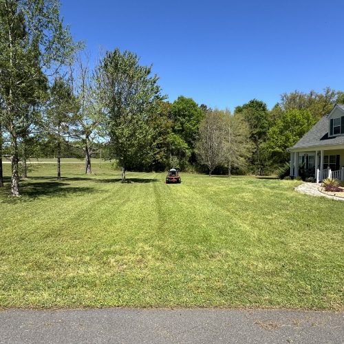 Lawn Care